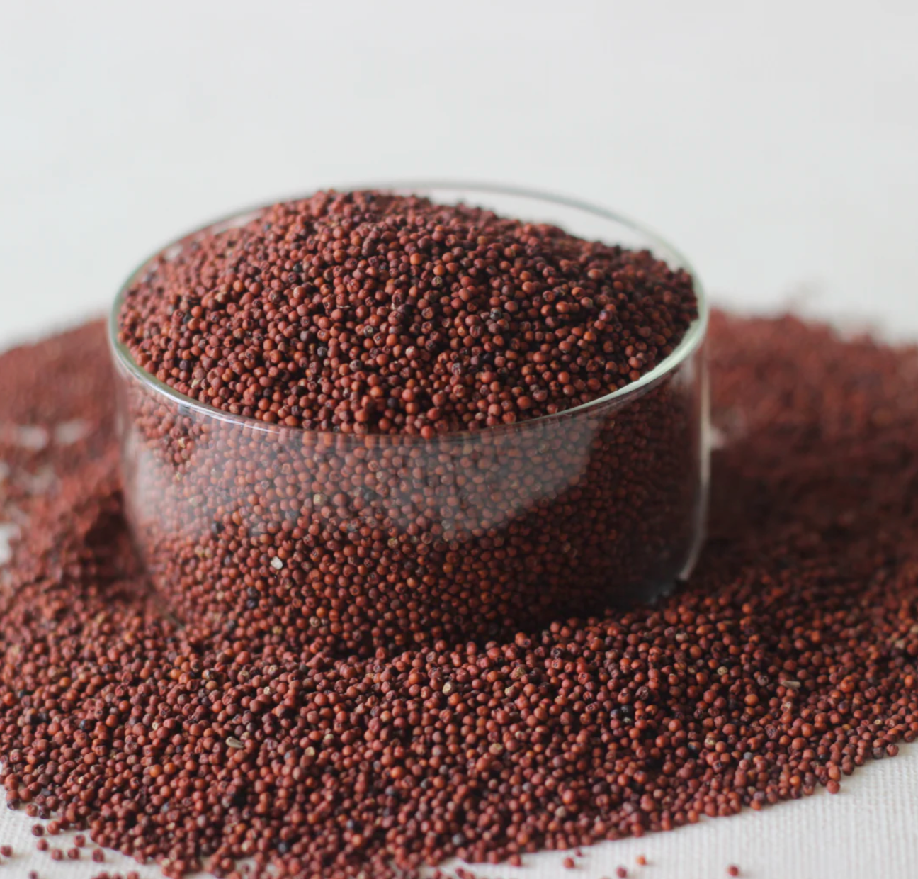 Ragi